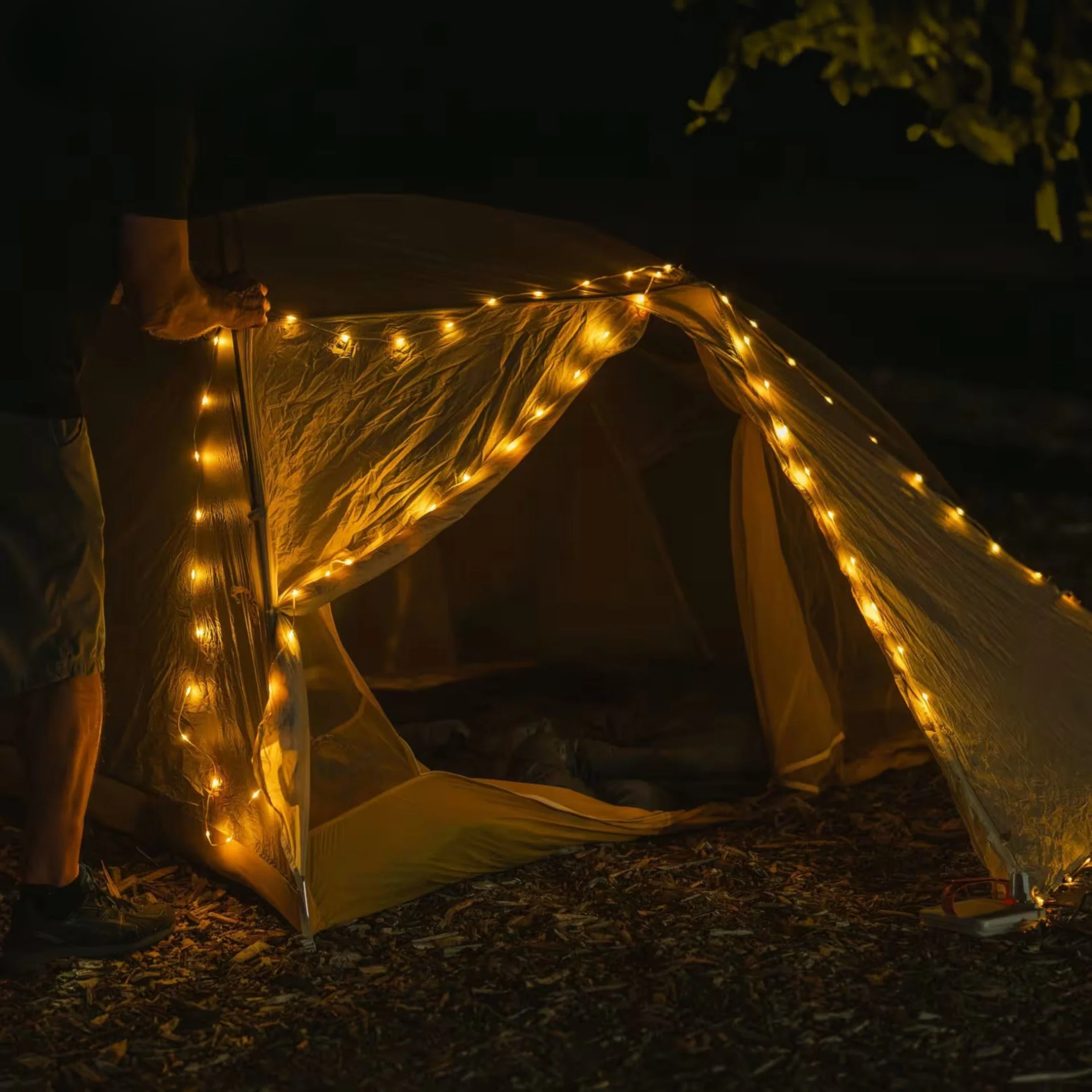 CAMPBUDDY™